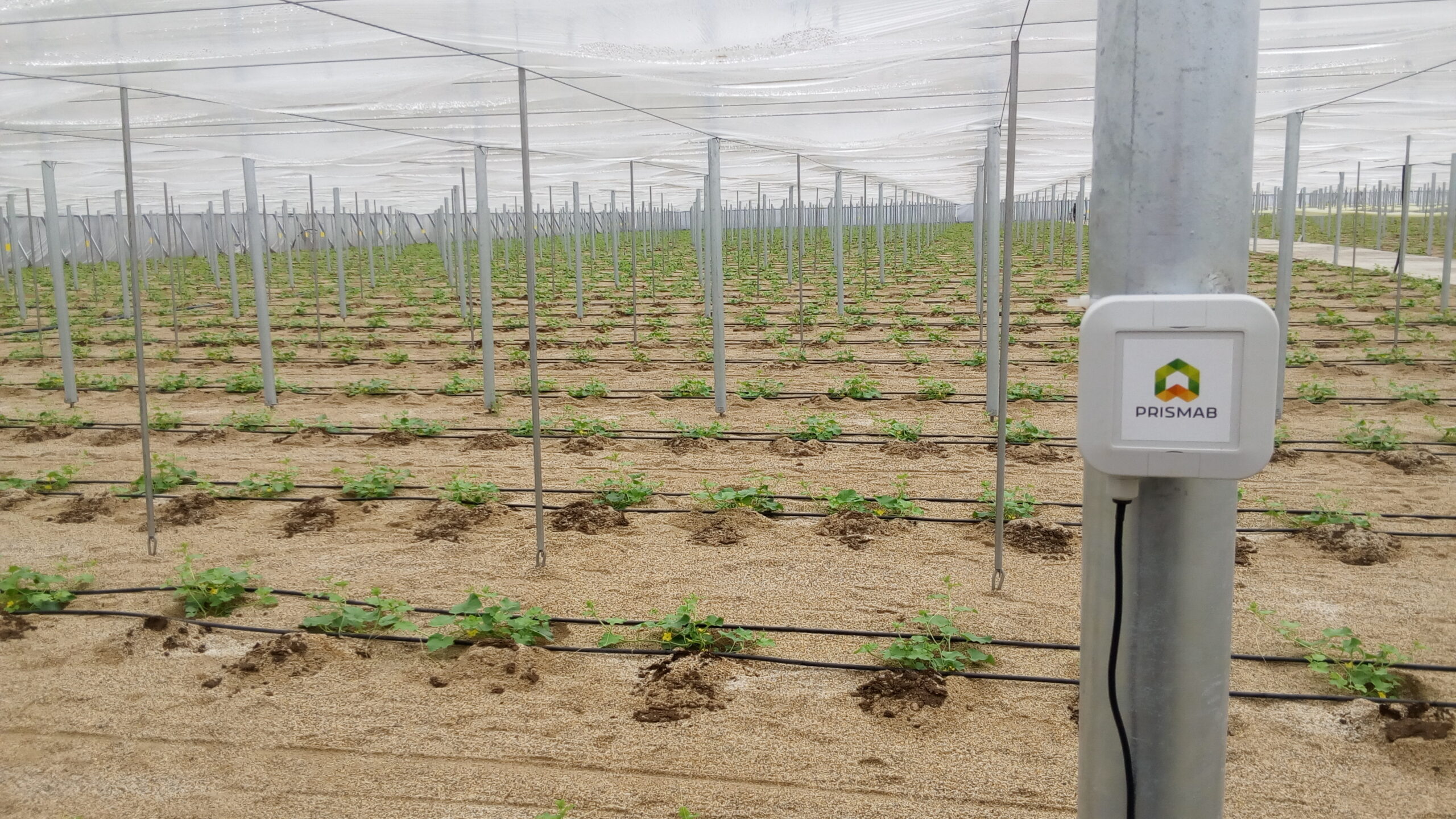 IoT ahorro agua agricultura